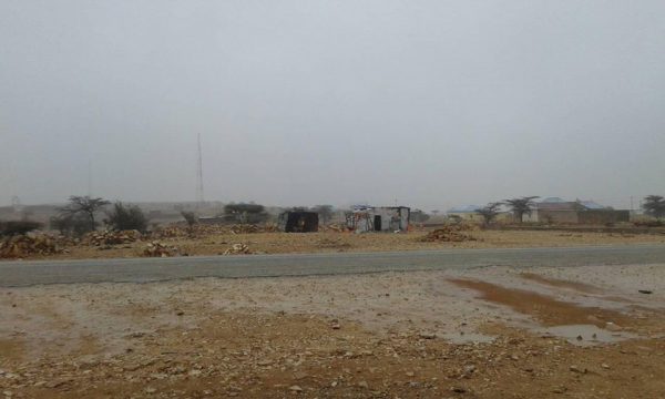 DHEGEYSO-Roob ka guga oo ka curtay qaybo kamid ah gobolada Puntland.