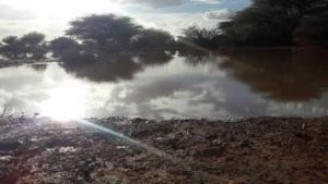 Qardho iyo Garoowe oo Roobku Hoorayo