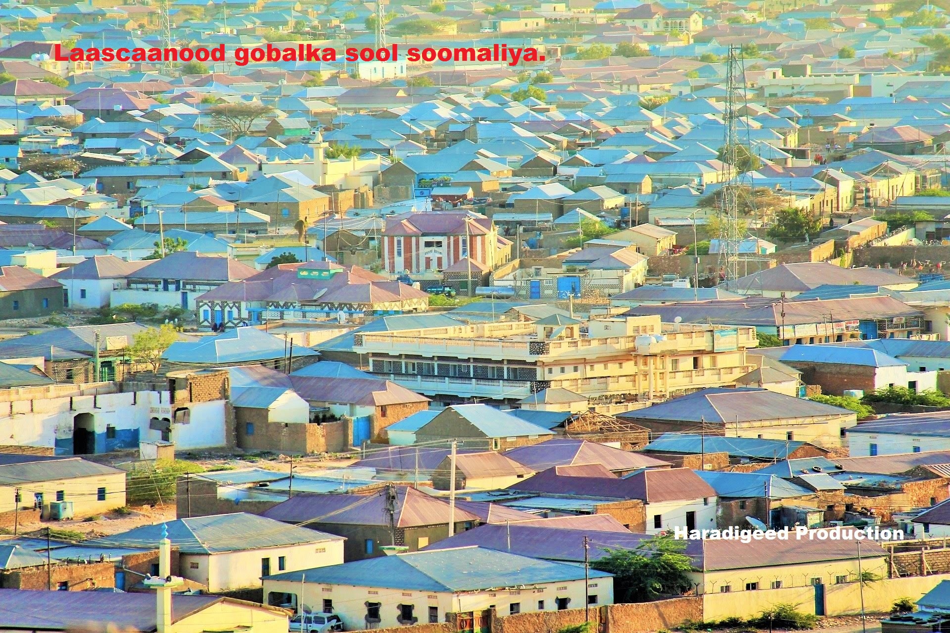 Guddoomiyaha gobolka Sool ee Somaliland oo qiray Colaadda Dhumay inay qayb ka yihiin ciidamo mushaar kaqaata Somaliland (daawo)