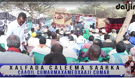 HADAL JEEDINTII CAAQIL CUMAR CAAQIL MAXAMED XAAJI DEGMADA MURCANYO EE GOBOLKA GARDAFU-PUNTLAND