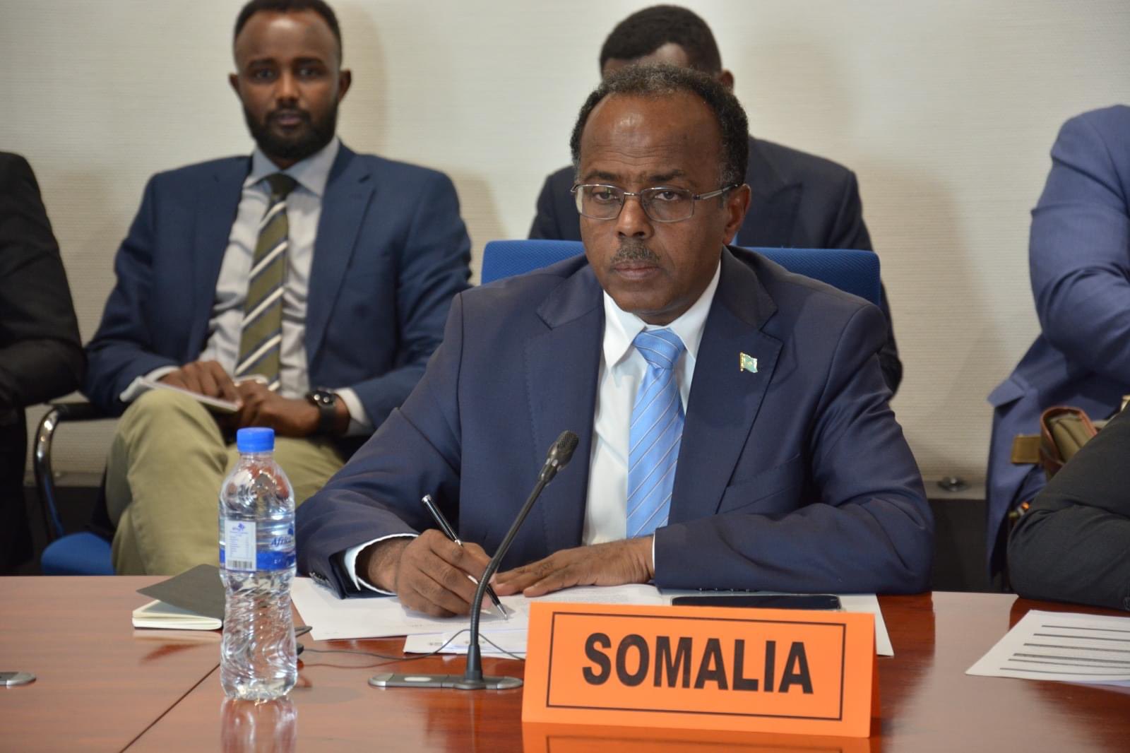 IN THE LATEST VILLA SOMALIA POWER GRAB, FOREIGN MINISTER FIQI SIDELINED AND STATE MINISTER ALI BALCAD EMPOWERED