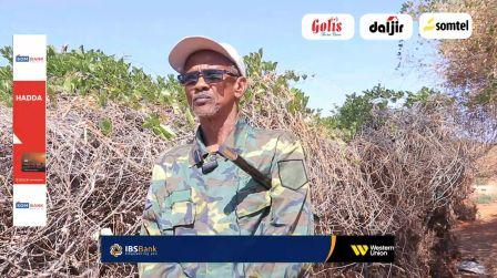 Abwaan Xasan Jeex oo Tageeray Ciidanka Difaaca Puntland ee dagaalka kula jira Daacish