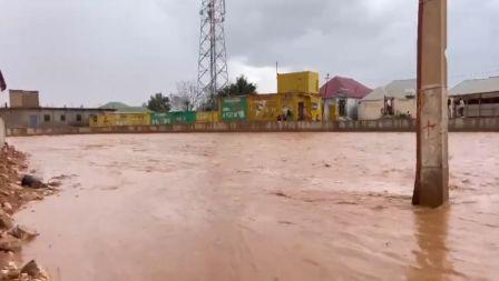 Gudoomiyaha degmada Qardho oo ka warbixiyay curashada raababkii gu’ga sidoo kale wuxuu sheegay