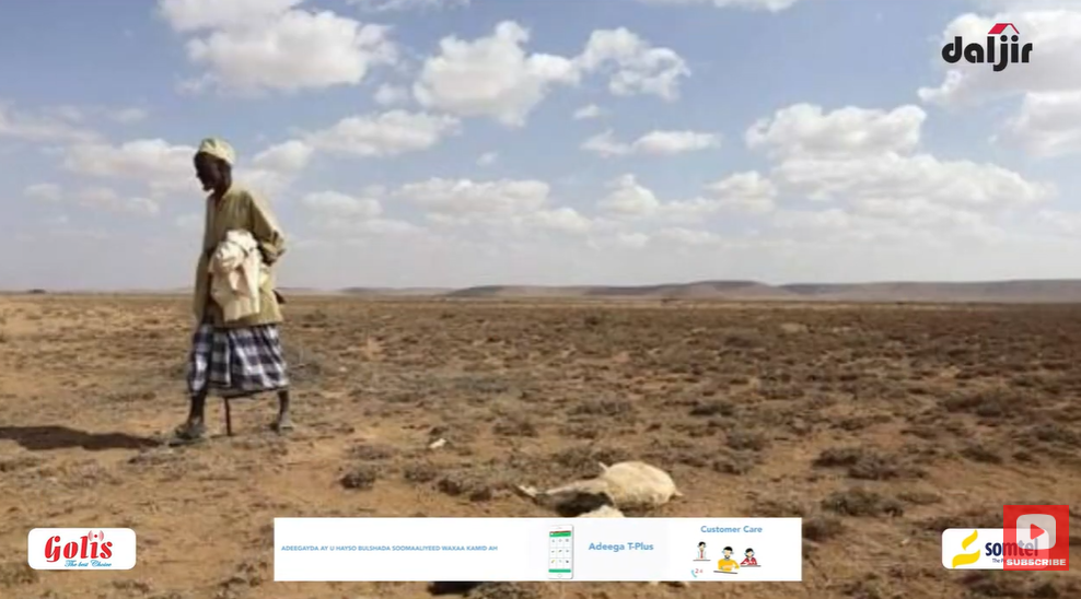 Maalmahaan waxaan diiradda saareynay sida gumeystaha reer Galbeedku ugu tashaday Afrika, si gaar ah