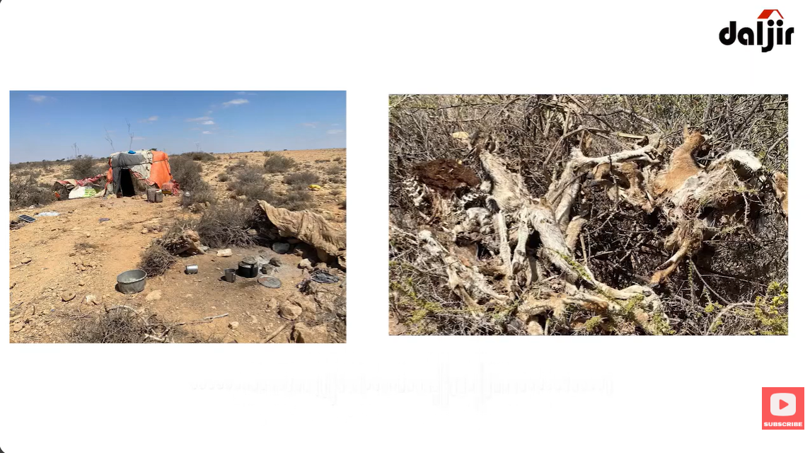 Reer guuraaga Puntland & xaaladda abaared: “Waxaa lagu jiraa xaalada xun oo abaareed walina nam