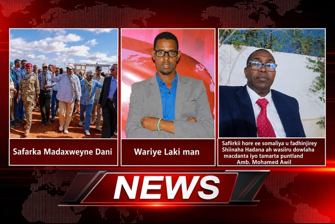 Wasiir Danjire Maxamed Cawil: “Ujeedka safarka Madaxweyne Deni ee Towfiiq wuxuu daarnaa nabadeyn…”