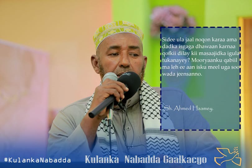 Ganacsade lagu dilay Gaalkacyo.