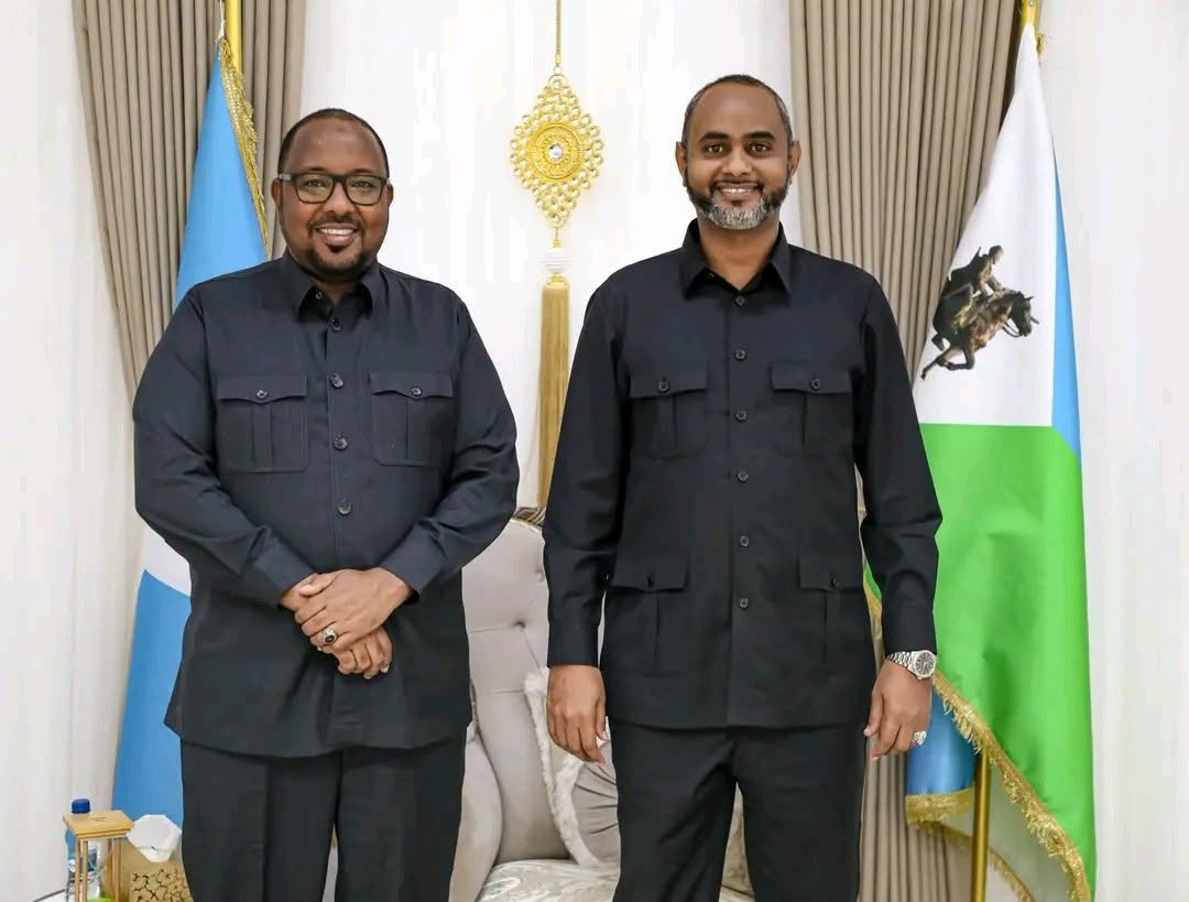 Madaxweyne Firdhiye oo kulan la qaatay Guddoomiyaha Barlamaanka DFS