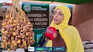 Gudoomiyaha Dallada Dhalinyarada Puntland oo kawarbixisay Doorka dhalinyarada ee tacabka beeraha.
