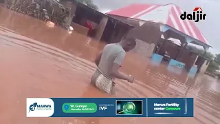 Robaab Mahigaan ah oo ka da’ay degaanka Godobyar ee Burtinle.
