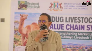 Guddoomiyaha gobalka Mudug: “Dadka waa inay ogaadan qiimaha xoolaha uu leeyahay”