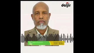 “Dhalinyaro la dayacay oo Jihayn Dowladeed iyo Cadaalad waayey ayaa Burcad noqtay,” Siyaasi Siciid